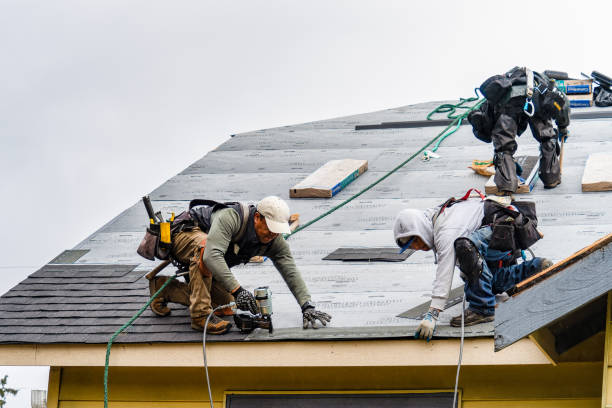 Professional Storm Damage Roof Repair technician working in Newberry, FL