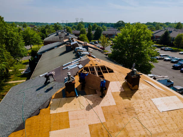 Trusted Storm Damage Roof Repair service in Newberry, FL - Brentwood Metal Roofing